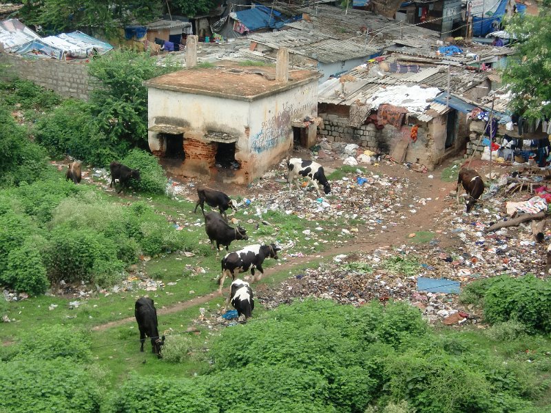 India Trip - July 2010 056.jpg